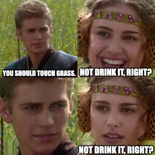 Meme: Anakin and Padmé. You should touch grass. Not drink it, right?